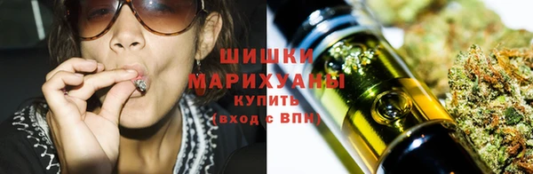 сатива Абаза