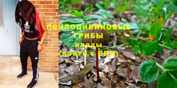 МДМА Алексеевка