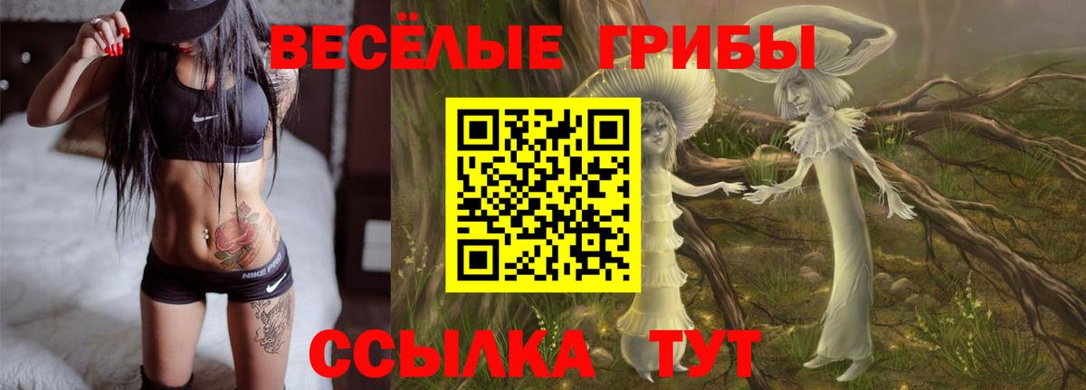 Псилоцибиновые грибы Magic Shrooms  Вход с VPN  Тавда  Галлюциногенные грибы ЛСД 